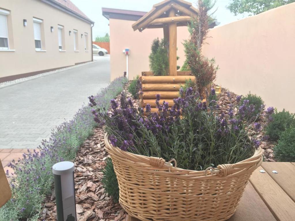 Levendula Vendeghaz Hotel Дьор Екстериор снимка